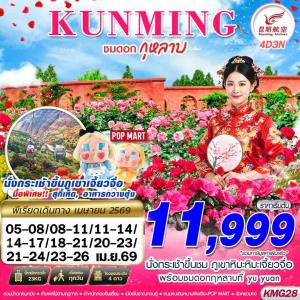 KMG28 KY BKK KUNMING ภูเขาหิมะเจี้ยวจื่อ - ชมดอกกุหลาบ