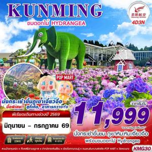 KMG30 KY BKK KUNMING ภูเขาหิมะเจี้ยวจื่อ - ดอกไม้ Hydrangea